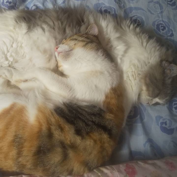 E2bd3893 0b16 481f 83de f65264ad7f50 1743228445888