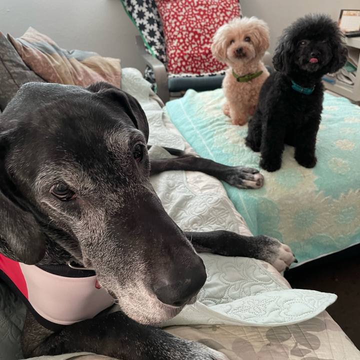 E2bd4411 dcc2 4ef3 a1ee 9498d8d92c3c 1632438980219