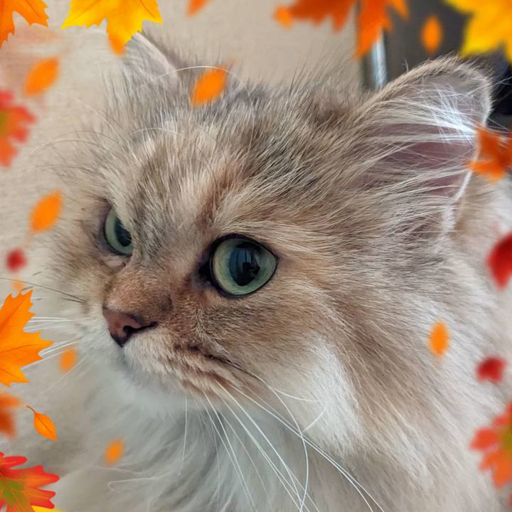 E2bd5360 d7e0 4cb8 8f84 2cd7edff43a7 1698623182009