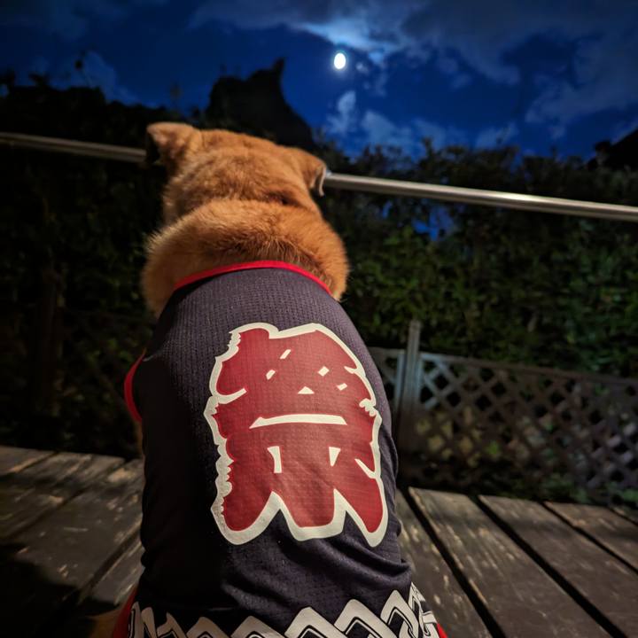 E2bd5dcb bbb7 4b5c 8aed 17d6d8d761aa 1693132382646