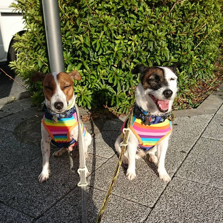 E2bdc228 86aa 42ec b314 3f1ee97c0d2a 1599774822580