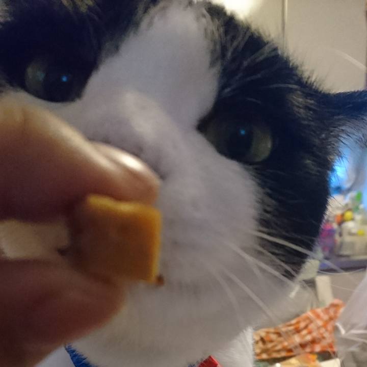 E2bdff67 37fa 479a 96a0 c6f630047ca2 1542460425540