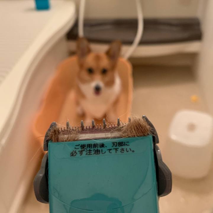 E2be06e7 e9ee 48ef bd21 def391ddb7d6 1561384923605