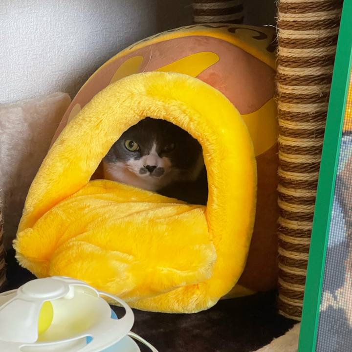 E2be2fc1 0aa7 4a51 82bb fbdc58db7922 1745474777959