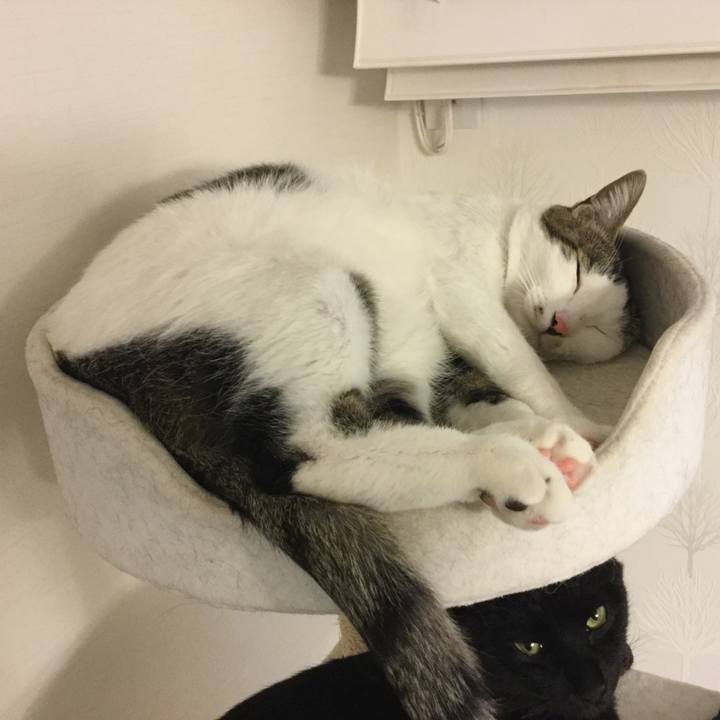 E2be3eed a96d 45a5 ab04 a6bbd57b5625 1516541863435