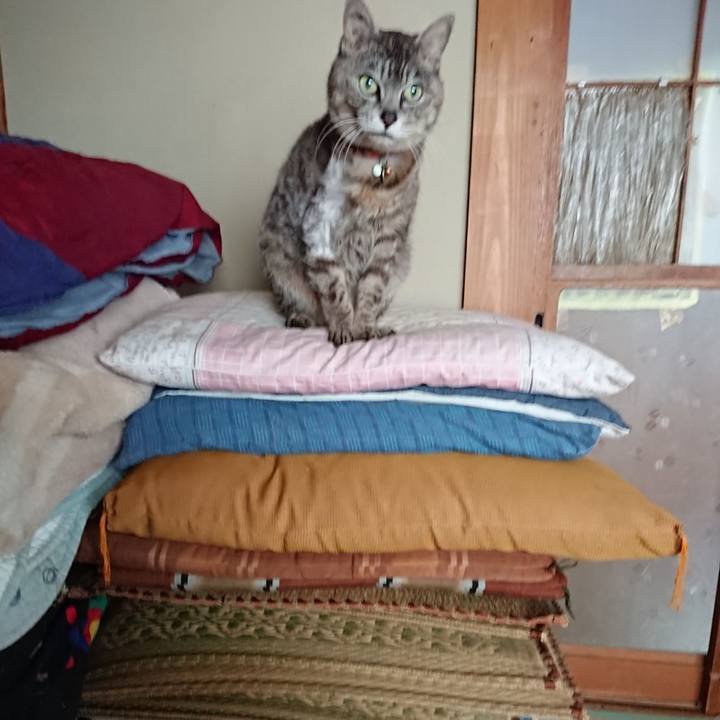 E2be54c0 ff9b 4829 b0eb 05084aa148a0 1590564895278