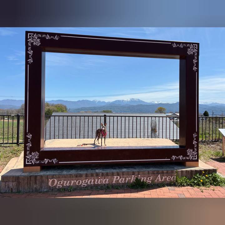 E2be54c3 3cde 429f 9695 c0f6d242039f 1777027841323