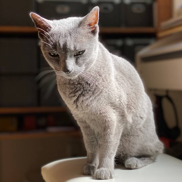 E2bebadb 10aa 4509 8eb3 a010a234f033 1584364510754