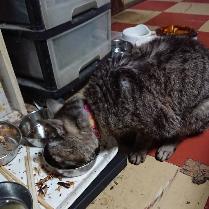 E2bec5c0 ec2a 4c30 afed e6234787b917 1594890621391