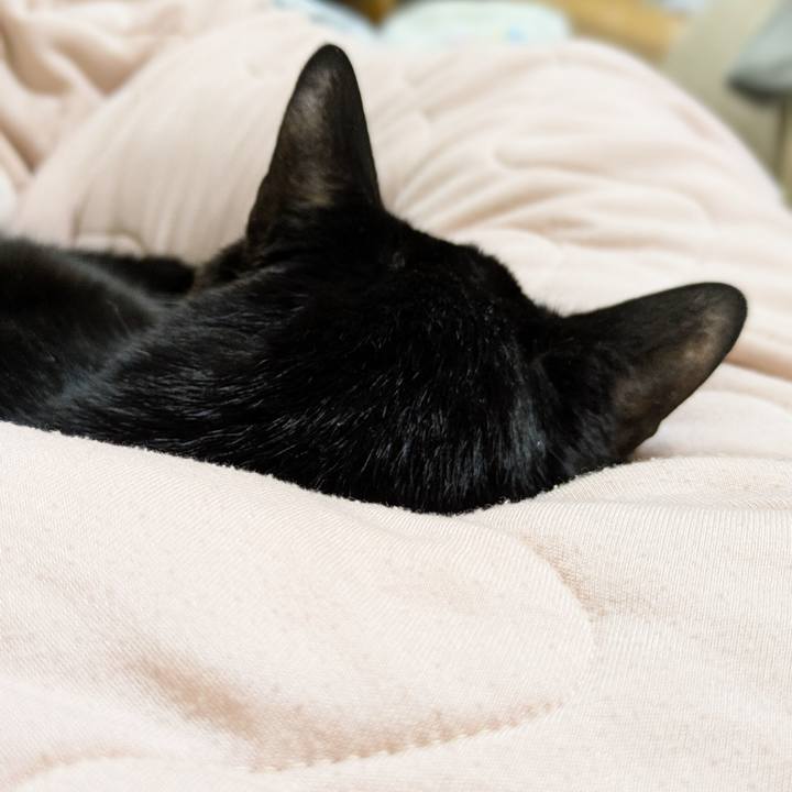 E2becbeb db85 4dfa 8003 ab585ee366ac 1772541919031