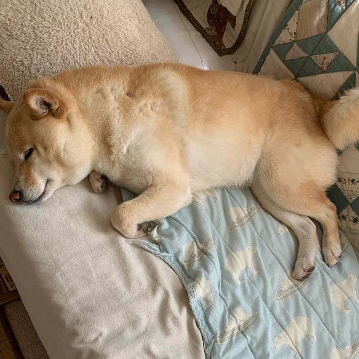 E2bedf94 804c 468c 9c5a e90b6895cb03 1657326316369