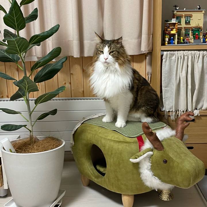 E2bee47d 1958 4df7 85fb b999eb477b1d 1728243661146