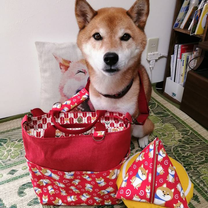 E2bf1447 9cb7 4328 98d7 209ca522a05e 1660018482061