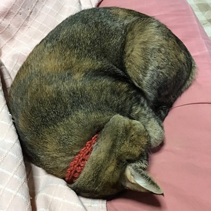 E2bf6c01 92ee 4ba2 a7e0 988d685876ae 1642655667390