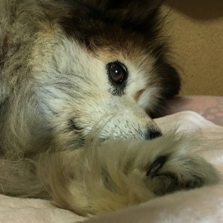 E2bf9b79 ae9c 4a0a bd6a d0f3e0caecb5 1625491516650