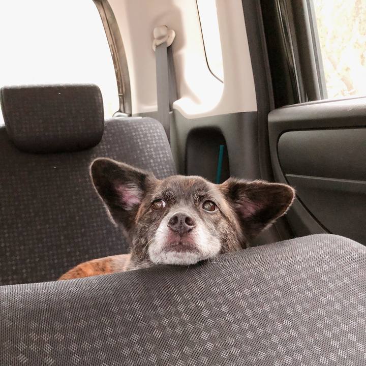 E2bfaa11 0ac2 4e6b 9ec2 c9f8c842e03a 1566220840653