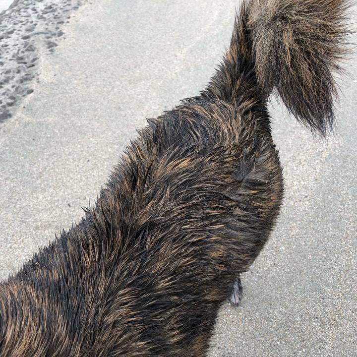 E2bfb622 d71e 4edc 9e7b b1c9034a7544 1563371023884