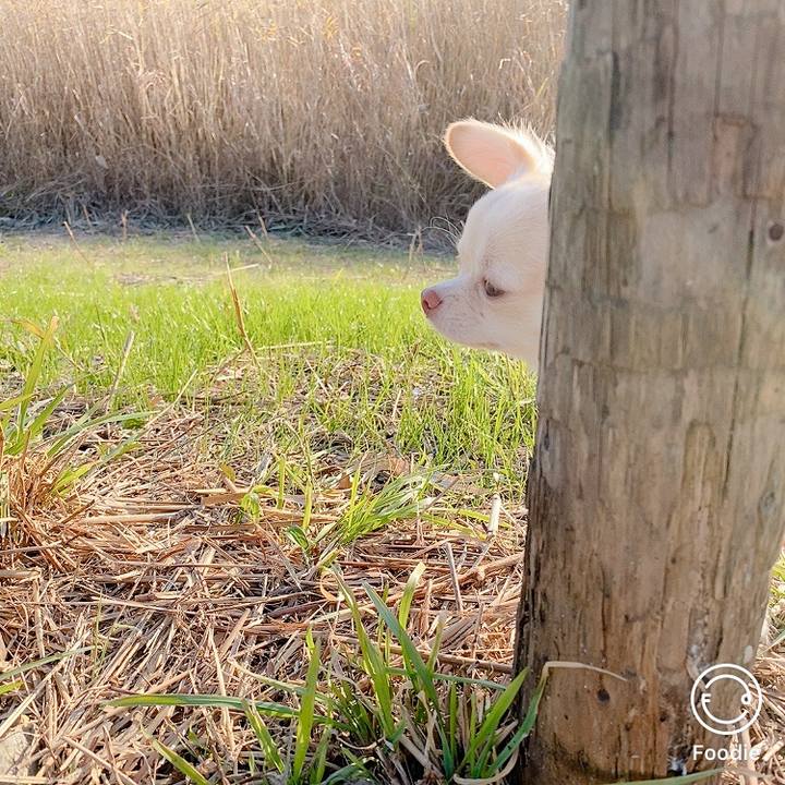 E2bfc898 00b9 43ed 8d23 9f0213891aea 1607238127029