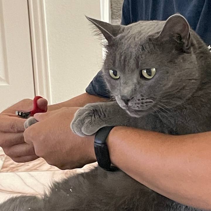 E2bfcf35 a135 4ccf 9225 609b85ad4108 1696465928440