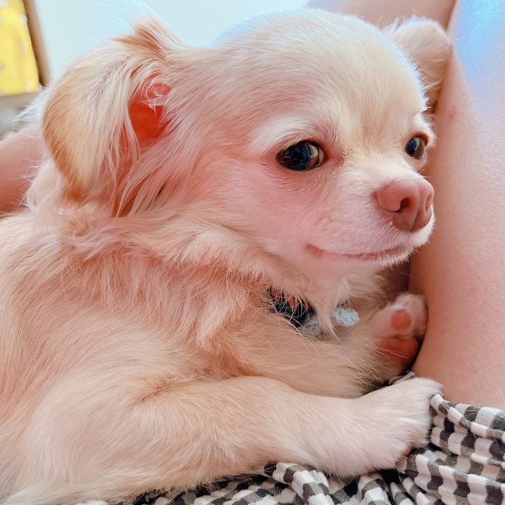 E2c015c1 d807 4c61 8846 1680949c7aeb 1656112566817