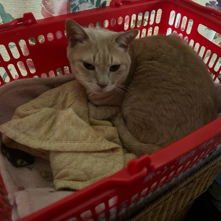 E2c04285 a014 4d7a aaaf 18a6054d6529 1761376510876