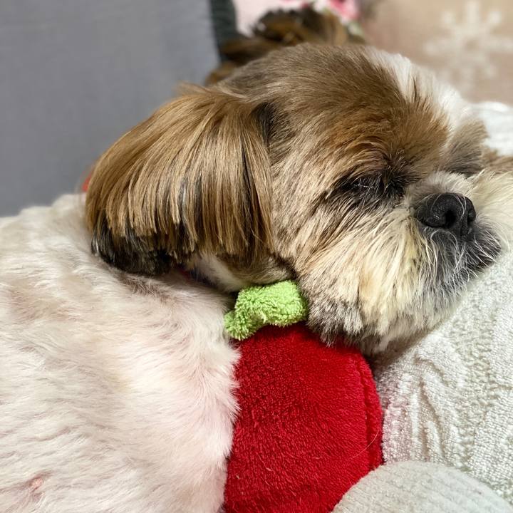 E2c04a2c b638 4a6f b4bb 19e9b3236137 1596025851631