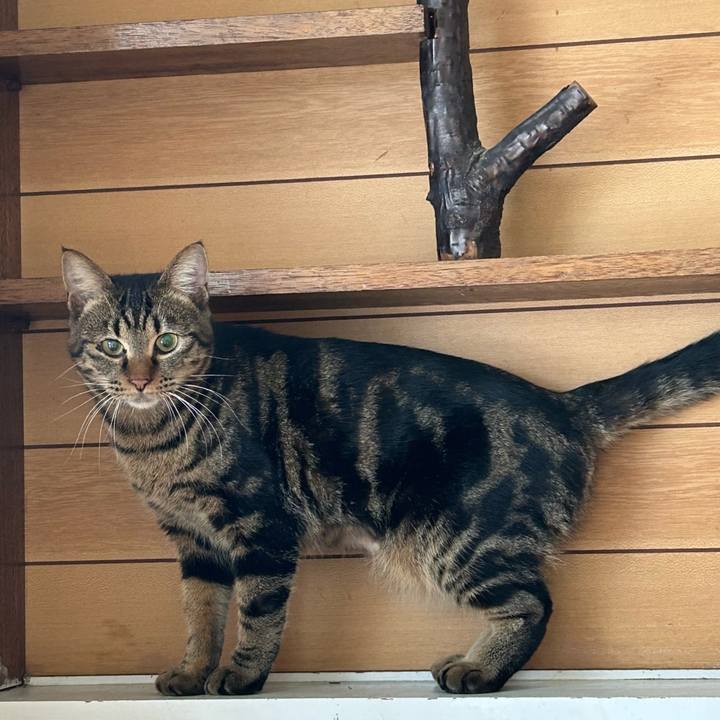 E2c08510 d33e 40ff bd7f b2143c8442e4 1763778621993