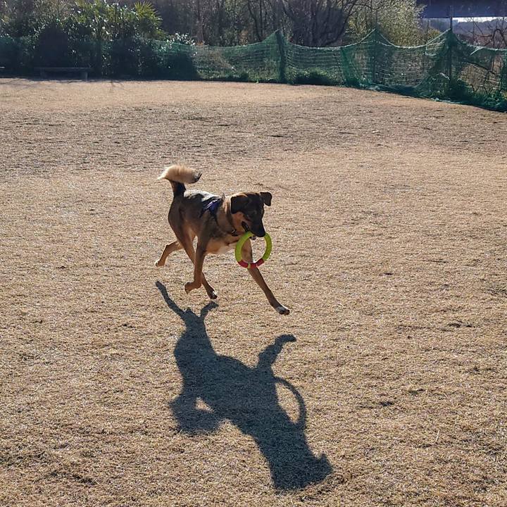 E2c0a07f ffbc 420f a23b 7ee12ef42d43 1706318547593