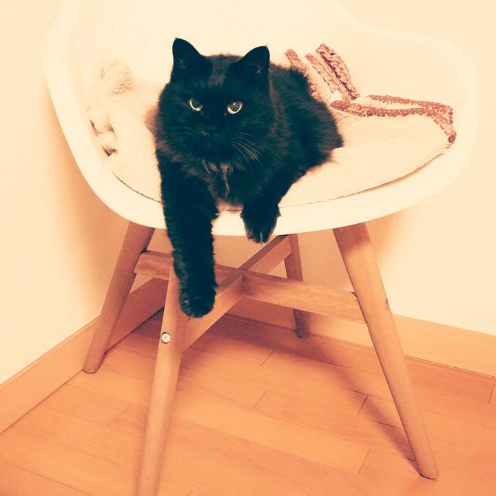 E2c0b225 d8d1 467e ad58 9043b6383b5f 1510308160028