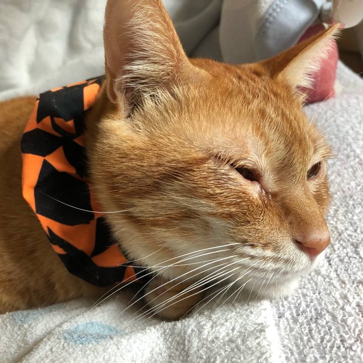 E2c0bf14 242c 485a b34a 306c84509a61 1571609608894