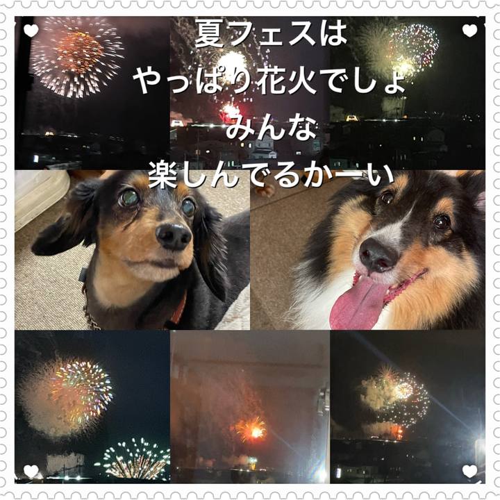 E2c100bb 1c35 4dfb 9ff5 291a70aca93c 1628929680935