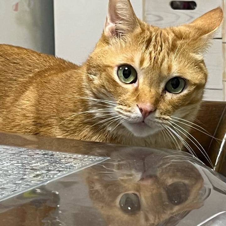 E2c1043e 91bc 4430 84af 041cd29afc77 1698626479208