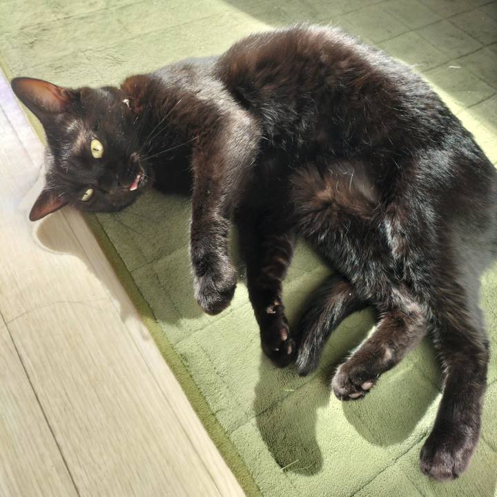 E2c1ba2b 5dcb 4ebf b3a1 e5ec16ee6586 1659394046747