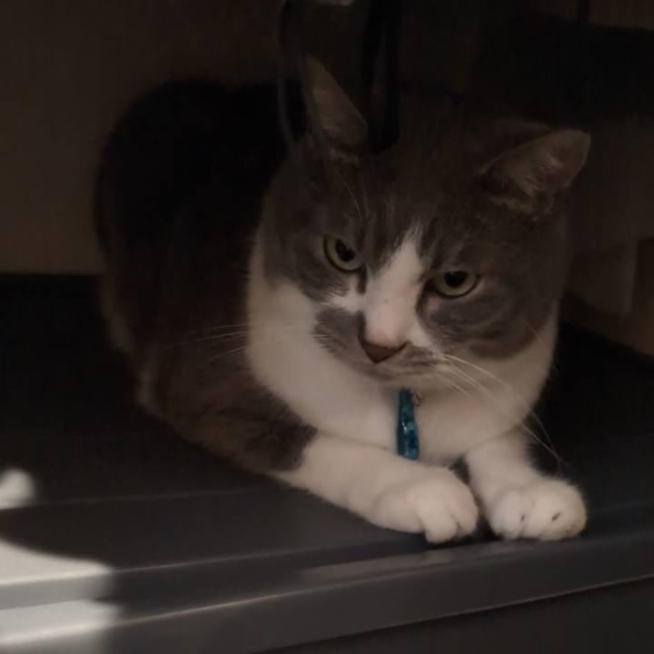 E2c1f713 9ed0 409e a74e 2d7a4ffaa199 1750212543321