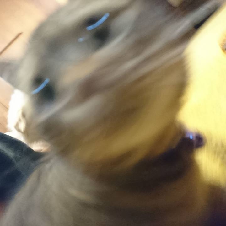 E2c21865 6bd9 4569 a6c9 6c75a2a0d311 1645492170019