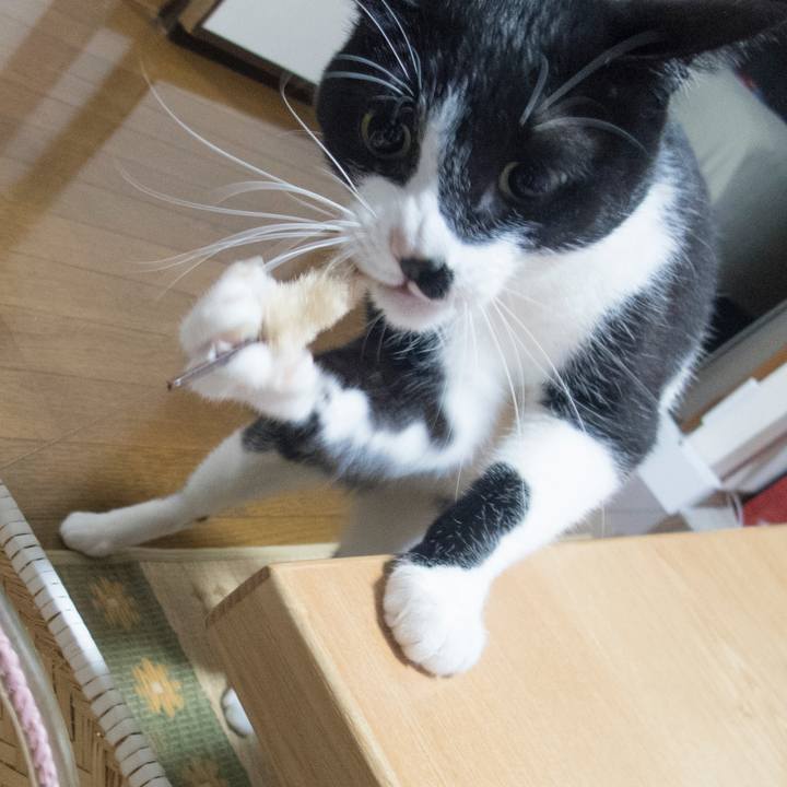 E2c21d44 4c1b 4645 a011 29ee1fe62237 1527313779383