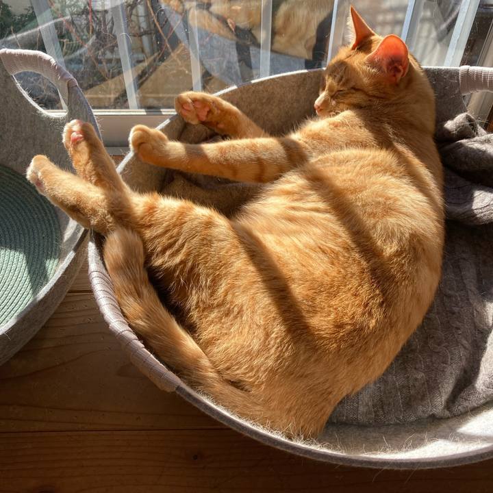 E2c24421 d09d 43cf 99ae 47588728f2f9 1641003065685