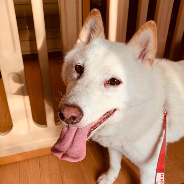 E2c280d7 3ef2 4614 9dba c5a5190d3fab 1597095928347