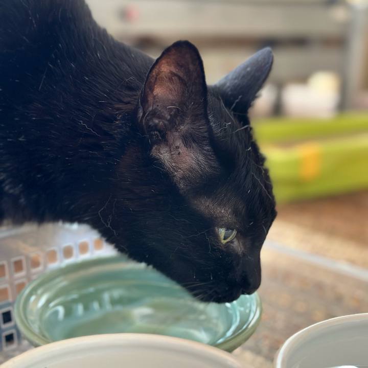 E2c28409 237f 4632 9e33 f6fea4e040b1 1691714719201