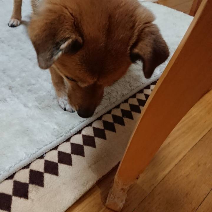 E2c28a45 8daf 44c5 9e59 046d10c318d5 1547983302099