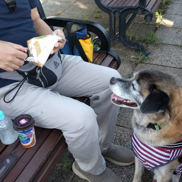 E2c29a89 9197 4e07 924d 9b15025d49b5 1534291907048