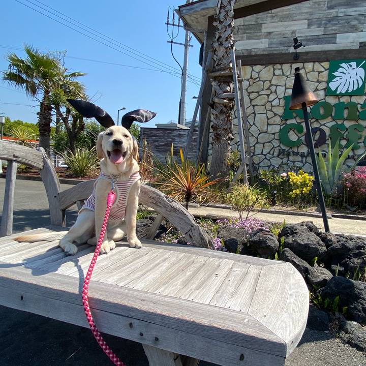 E2c2f2c8 94cc 4115 ba97 27549038fa9b 1618885214331