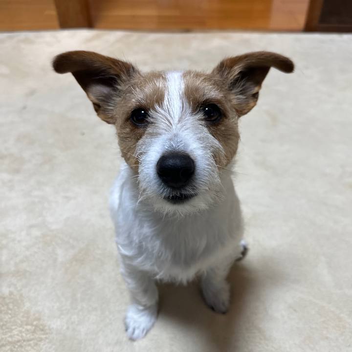 E2c347d6 3a61 4f4d 8bfd 479f652f1c48 1773697187230