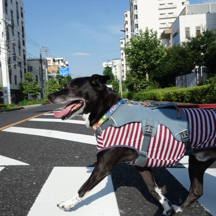 E2c36495 0ea9 4761 a050 14294fa13269 1720052679795