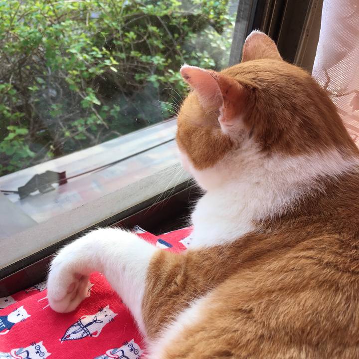 E2c39755 336a 4fef a0d6 a9005fc8517f 1588580568548