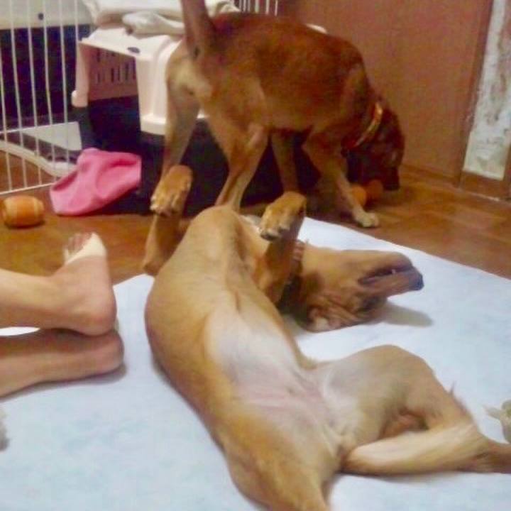 E2c39e8f 5eb1 4d3e ad7c 1af8f2f149ce 1531888543250