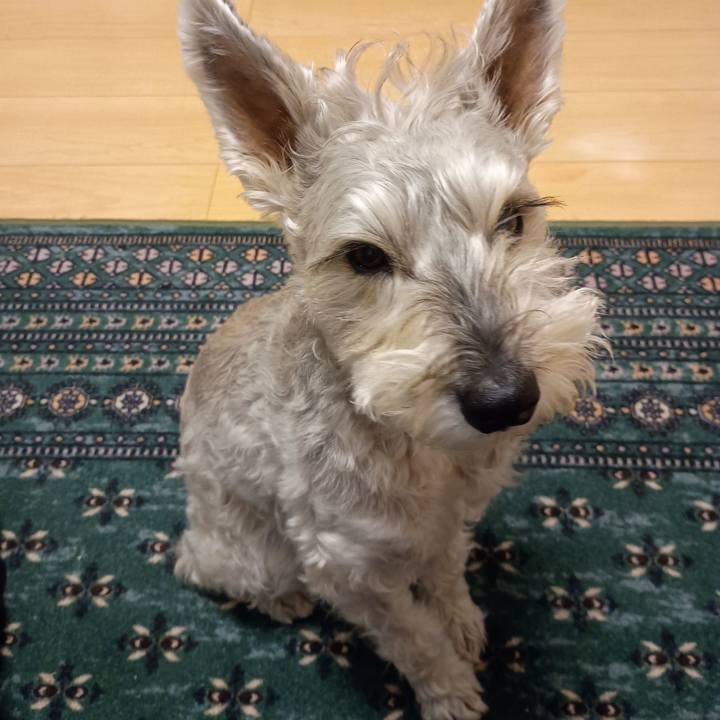 E2c3cfe2 06ee 4bcc 9b5b 074424ed83be 1765978807204