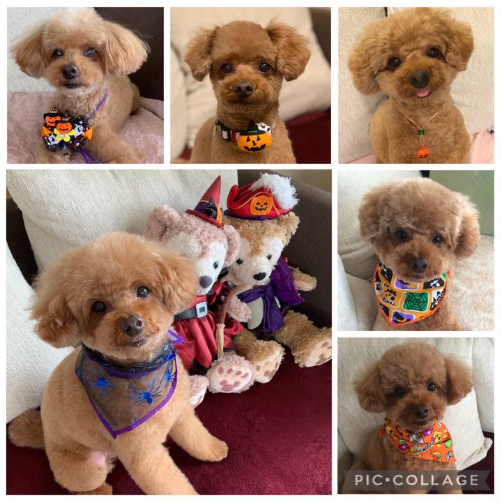 E2c3d834 8094 4cb5 a7d9 5f5db1ee8f48 1761869982725