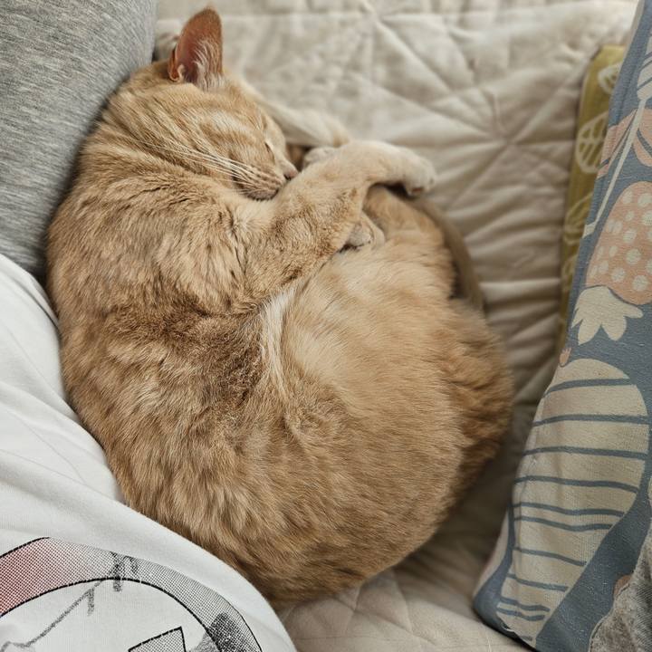 E2c3dc76 8d89 408d a43f 9b8c5492b9cf 1743824232182