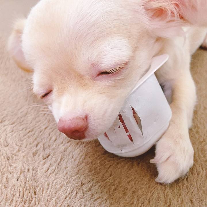 E2c3e2c2 299e 4fcf b45b a950c86fe4db 1595905089790